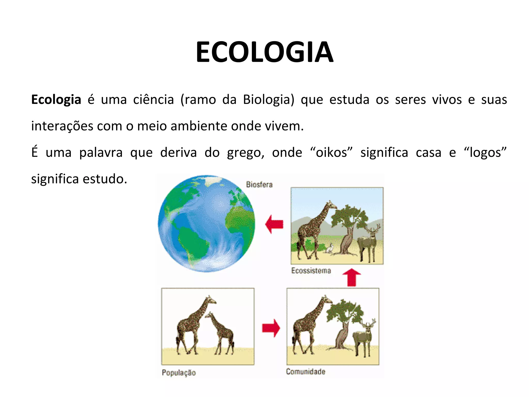 Ecologia - Introdução | PPT