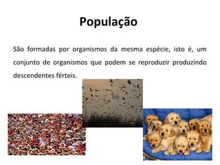 População
São formadas por organismos da mesma espécie, isto é, um
conjunto de organismos que podem se reproduzir produzindo
descendentes férteis.