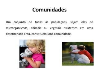 Comunidades
Um conjunto de todas as populações, sejam elas de
microrganismos, animais ou vegetais existentes em uma
determinada área, constituem uma comunidade.