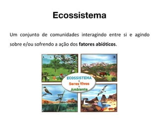 Ecossistema
Um conjunto de comunidades interagindo entre si e agindo
sobre e/ou sofrendo a ação dos fatores abióticos.