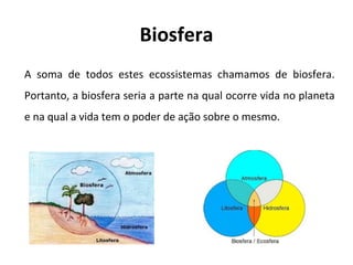 Biosfera
A soma de todos estes ecossistemas chamamos de biosfera.
Portanto, a biosfera seria a parte na qual ocorre vida no planeta
e na qual a vida tem o poder de ação sobre o mesmo.