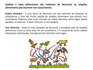 Cadeias e teias alimentares são maneiras de descrever as relações
alimentares que ocorrem nos ecossistemas.
Cadeia alimentar - É uma forma de descrever um dos caminhos do alimento no
ecossistema. é uma das muitas opções de relações alimentares que existem num
ecossistema. Podemos citar como exemplo de cadeia alimentar numa lagoa: planta
aquática → caramujo → peixe carnívoro → ave aquática
Teia alimentar - Maneira mais completa de descrever a complexa rede de relações
alimentares entre os seres vivos de um ecossistema. É o conjunto de várias cadeias
alimentares entrelaçadas. Exemplo de teia alimentar numa lagoa