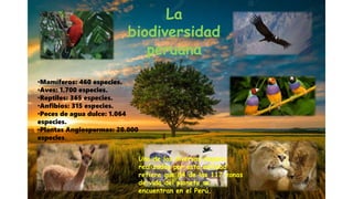 La
biodiversidad
peruana
•Mamíferos: 460 especies.
•Aves: 1.700 especies.
•Reptiles: 365 especies.
•Anfibios: 315 especies.
•Peces de agua dulce: 1.064
especies.
•Plantas Angiospermas: 20.000
especies.
Uno de los diversos mapeos
realizados por esta entidad
refiere que 84 de las 117 zonas
de vida del planeta se
encuentran en el Perú.
 