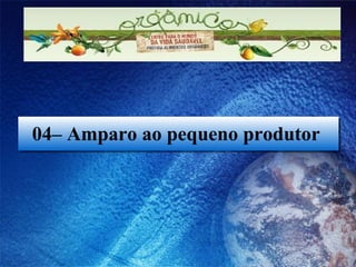 04– Amparo ao pequeno produtor  