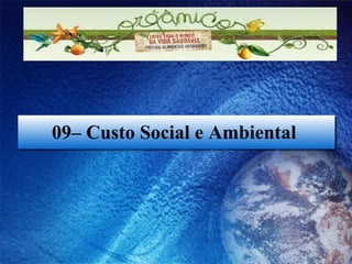 09– Custo Social e Ambiental  