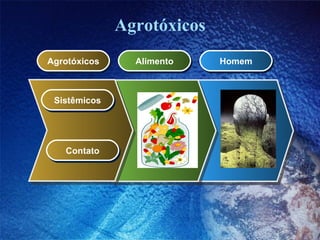 Agrotóxicos Agrotóxicos Alimento Homem Sistêmicos Contato 