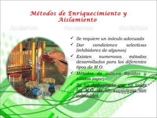 Métodos de Enriquecimiento y
Aislamiento
 Se requiere un inóculo adecuado
 Dar condiciones selectivas
(inhibidores de algunos)
 Existen numerosos métodos
desarrollados para los diferentes
tipos de M.O.
 Métodos de cultivos líquidos y
sólidos (agar)
 Se ha demostrado que no todos
los M.O. de un ecosistema son
cultivables
 