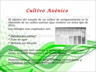 Cultivo Axénico
El objetivo del estudio de un cultivo de enriquecimiento es la
obtención de un cultivo axénico (que contiene un único tipo de
M.O.)
Los métodos mas empleados son:
Siembra por estrías*
Tubo de agar
Métodos por dilución
*De una colonia bien aislada, y repitiendo el proceso varias
veces, se puede traspasar a un medio líquido.
Posteriormente se requiere hacer pruebas microscópicas y
metabólicas para verificar pureza del cultivo.
 