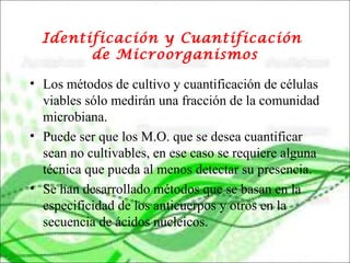 Identificación y Cuantificación
de Microorganismos
• Los métodos de cultivo y cuantificación de células
viables sólo medirán una fracción de la comunidad
microbiana.
• Puede ser que los M.O. que se desea cuantificar
sean no cultivables, en ese caso se requiere alguna
técnica que pueda al menos detectar su presencia.
• Se han desarrollado métodos que se basan en la
especificidad de los anticuerpos y otros en la
secuencia de ácidos nucleicos.
 