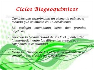Ciclos Biogeoquímicos
Cambios que experimenta un elemento químico a
medida que se mueve en un ecosistema.
 
La ecología microbiana tiene dos grandes
objetivos:
- Apreciar la biodiversidad de los M.O. y entender
la interacción entre los diferentes grupos que
componen la comunidad.
- Medir la actividad de los M.O. en la naturaleza y
controlar sus efectos en el ecosistema.
 
 