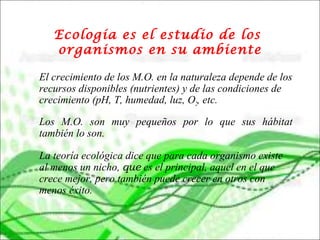 Ecología es el estudio de los
organismos en su ambiente
El crecimiento de los M.O. en la naturaleza depende de los
recursos disponibles (nutrientes) y de las condiciones de
crecimiento (pH, T, humedad, luz, O2, etc.
Los M.O. son muy pequeños por lo que sus hábitat
también lo son.
La teoría ecológica dice que para cada organismo existe
al menos un nicho, que es el principal, aquel en el que
crece mejor, pero también puede crecer en otros con
menos éxito.
 