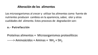 ecologia microbiana resumen.pptx