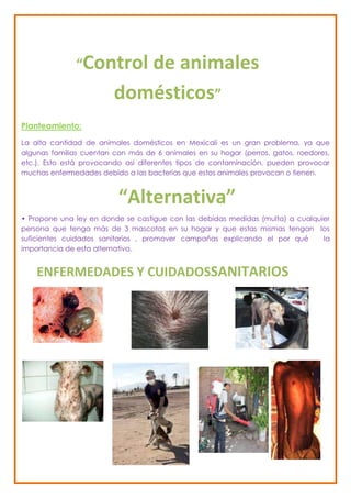 “Control      de animales
                         domésticos”
Planteamiento:
La alta cantidad de animales domésticos en Mexicali es un gran problema, ya que
algunas familias cuentan con más de 6 animales en su hogar (perros, gatos, roedores,
etc.). Esto está provocando así diferentes tipos de contaminación, pueden provocar
muchas enfermedades debido a las bacterias que estos animales provocan o tienen.


                          “Alternativa”
• Propone una ley en donde se castigue con las debidas medidas (multa) a cualquier
persona que tenga más de 3 mascotas en su hogar y que estas mismas tengan los
suficientes cuidados sanitarios , promover campañas explicando el por qué       la
importancia de esta alternativa.


    ENFERMEDADES Y CUIDADOSSANITARIOS
 