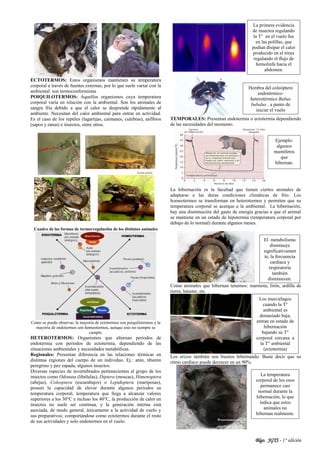 Blgo. JGTS - 1° edición
ECTOTERMOS: Estos organismos mantienen su temperatura
corporal a través de fuentes externas, por lo que suele variar con la
ambiental: son termoconformistas
POIQUILOTERMOS: Aquellos organismos cuya temperatura
corporal varía en relación con la ambiental. Son los animales de
sangre fría debido a que el calor se desprende rápidamente al
ambiente. Necesitan del calor ambiental para entrar en actividad.
Es el caso de los reptiles (lagartijas, caimanes, culebras), anfibios
(sapos y ranas) e insectos, entre otros.
Cuadro de las formas de termorregulación de los distintos animales
Como se puede observar, la mayoría de ectotermos son poiquilotermos y la
mayoría de endotermos son homeotermos, aunque esto no siempre se
cumple.
HETEROTERMOS: Organismos que alternan periodos de
endotermia con periodos de ectotermia, dependiendo de las
situaciones ambientales y necesidades metabólicas.
Regionales: Presentan diferencia en las relaciones térmicas en
distintas regiones del cuerpo de un individuo. Ej.: atún, tiburón
peregrino y pez espada, algunos insectos.
Diversas especies de invertebrados pertenecientes al grupo de los
insectos como Odonata (libélulas), Diptera (moscas), Himenoptera
(abejas), Coleoptera (escarabajos) o Lepidoptera (mariposas),
poseen la capacidad de elevar durante algunos periodos su
temperatura corporal, temperatura que llega a alcanzar valores
superiores a los 30°C e incluso los 40°C, la producción de calor en
insectos no suele ser continua, y la generación interna está
asociada, de modo general, únicamente a la actividad de vuelo y
sus preparativos; comportándose como ectotermos durante el resto
de sus actividades y solo endotermos en el vuelo.
TEMPORALES: Presentan endotermia o ectotermia dependiendo
de las necesidades del momento.
La hibernación es la facultad que tienen ciertos animales de
adaptarse a las duras condiciones climáticas de frio. Los
homeotermos se transforman en heterotermos y permiten que su
temperatura corporal se acerque a la ambiental. La hibernación,
hay una disminución del gasto de energía gracias a que el animal
se mantiene en un estado de hipotermia (temperatura corporal por
debajo de lo normal) durante algunos meses.
Como animales que hibernan tenemos: marmota, lirón, ardilla de
tierra, hánster, etc.
Los erizos también son buenos hibernando. Baste decir que su
ritmo cardíaco puede decrecer en un 90%.
Hembra del coleóptero
endotérmico-
heterotérmico Bubas
bubalus , a punto de
iniciar el vuelo
Los murciélagos
cuando la T°
ambiental es
demasiado baja,
entran en estado de
hibernación
bajando su T°
corporal cercana a
la T° ambiental
(ectotermia)
La primera evidencia
de insectos regulando
la T° en el vuelo fue
en las polillas, que
podían disipar el calor
producido en el tórax
regulando el flujo de
hemolinfa hacia el
abdomen.
La temperatura
corporal de los osos
permanece casi
normal durante la
hibernación, lo que
indica que estos
animales no
hibernan realmente.
El metabolismo
disminuye
significativamen
te, la frecuencia
cardiaca y
respiratoria
también
disminuyen.
Ejemplo:
algunos
mamíferos
que
hibernan.
 