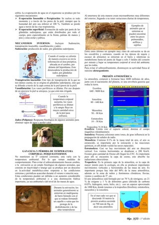Blgo. JGTS - 1° edición
enfría. La evaporación de agua en el organismo se produce por los
siguientes mecanismos:
 Evaporación Insensible o Perspiración: Se realiza es todo
momento y a través de los poros de la piel, siempre que la
humedad del aire sea inferior al 100 %. También se pierde
agua a través de las vías respiratorias.
 Evaporación superficial: Formación de sudor por parte de las
glándulas sudoríparas, que están distribuidas por todo el
cuerpo, pero especialmente en la frente, palmas de manos y
pies y zona axilar y púbica.
MECANISMOS INTERNOS: Incluyen Sudoración,
transpiración insensible, vasodilatación y jadeo.
Sudoración: producción de sudor, por glándulas sudoríparas.
Transpiración insensible: Este tipo de transpiración de la que no
nos damos cuenta, no se origina en glándulas sudoríparas, sino que
se difunde a través de la capa cornea de la piel (poros de la piel)
Vasodilatación: Los vasos periféricos se dilatan. Por eso después
de un ejercicio la piel se enrojece, ya que está más irrigada.
Jadeo (Polipnea): Respuesta fisiológica de algunos animales para
eliminar vapor de agua y perder calor.
GANANCIA Y PÉRDIDA DE TEMPERATURA
CORPORAL: POIQUILOTERMOS
No mantienen su T° corporal constante, esta varía con la
temperatura ambiental. Por lo que toman medidas de
comportamiento: Para evitar el sobrecalentamiento buscan sombra,
o la estivación es un estado fisiológico de algunos animales, que
consiste en inactividad o letargo que se produce por un descenso
en la actividad metabólica como respuesta a las condiciones
extremas y periódicas acaecidas durante el verano o estación seca.
Estas condiciones pueden ser debidas a un aumento considerable
de la temperatura ambiental o a una disminución hídrica
importante, ya sea ambiental o del nivel de las masas de agua.
Al enterrarse de esta manera crean microambientes muy diferentes
del exterior, llegando a no tener variaciones diarias de temperatura.
.
Entre estos últimos un ejemplo muy claro de estivación se da en
los cocodrilos y caimanes, cuando en las épocas de sequía y
escasez de alimentos se entierran en el barro y ralentizan su
metabolismo hasta tal punto de llegar a solo 5 latidos del corazón
por minuto y bajar su temperatura corporal al nivel del ambiente
que les rodea.
Para evitar el sobreenfriamiento, disminuyen su actividad física al
máximo aletargamiento.
PRESIÓN ATMOSFÉRICA
La atmosfera, comenzó a formarse hace 4600 millones de años,
junto con el nacimiento del planeta, es una envoltura gaseosa que
rodea la tierra.
Exosfera: Limita con el espacio sideral, domina el campo
magnético interplanetario.
Ionosfera: Presenta colisiones entre iones, de gran influencia en la
propagación de señales de radio.
Mesosfera: Contiene 0.1% de la masa total de aire, el aire es
enrarecido, es importante por la ionización y las reacciones
químicas, es allí donde vuelan las naves espaciales.
Estratosfera: Casi no hay movimiento del aire en dirección
vertical. Los vientos horizontales se desplazan a 200 Km/h.
Existen gran cantidad de Ozono allí llegan los CFC. Es importante
pues allí se encuentra la capa de ozono, este absorbe las
radiaciones ultravioletas.
Troposfera: Es la primera capa de la atmosfera, es la capa de
mayor interés para la ecología, en ella se producen importantes
movimientos verticales y horizontales de las masa de aire. Es
importante porque hay más del 80% de la masa atmosférica,
además es la zona de nubes y fenómenos climáticos; lluvias,
vientos y cambios de T°, etc.
El aire atmosférico está formado por un 78 % de nitrógeno, un 21
% de oxígeno y 1 % de diferentes gases (dióxido de carbono
0.03%, hidrogeno, neón, helio, etc.), con un espesor aproximado
de 1000 Km, donde tenemos a la troposfera (biosfera), estratosfera,
mesosfera y la ionosfera.
Exosfera
640 - 9600 Km
Ionosfera:
80 – 640 Km
Mesosfera
50 – 80 Km
Estratosfera
18 – 50 Km
Troposfera: 9-18 Km
Durante la estivación, los
animales generalmente se
entierran en madrigueras
de barro húmedo con el
que se rodean formando
un capullo o vaina que les
protege de la
deshidratación y de las
altas temperaturas
Ejemplos de
animales que se
entierran se
pueden encontrar
entre los peces
pulmonados,
anfibios y
reptiles
Cuando el cuerpo se calienta
de manera excesiva se envía
información al área preóptica,
ubicada en el cerebro, por
delante del hipotálamo. Esto
desencadena la producción de
sudor, por glándulas
sudoríparas.
Cuando la
temperatura corporal
aumenta, los vasos
periféricos se dilatan
y la sangre fluye en
mayor cantidad cerca
de la piel para
enfriarse.
En el mar cada vez que se
desciende 10 metros la
presión acuática asciende
en 760 mm de Hg, es
decir una atmósfera
 