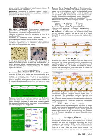 Blgo. JGTS - 1° edición
plantas (como la vitamina C) y otros que sólo pueden obtenerse de
los animales (como la vitamina B-12).
Detritívoros: (Comedores de detritus): cangrejo, termitas y
lombriz de tierra: extraen los nutrientes de partículas parcialmente
descompuesta de materia orgánica.
LOS DESINTEGRADORES: Son organismos mineralizadores
ya que los residuos muertos de productores y consumidores son
descompuestos hasta materia inorgánica (minerales).
Absorben las sustancias nutritivas directamente a través de la
membrana celular.
Solamente se desarrollan donde encuentran materia en
descomposición o productos de desecho animal o vegetal.
Este grupo de organismos son consumidores pero suelen ser
clasificados separándolos de los heterótrofos por la importancia
que tienen en el reciclamiento de la materia.
A este grupo pertenecen las levaduras, mohos y la mayoría de
bacterias. Estos son incapaces de producir su propio alimento y de
ingerir alimentos sólidos; necesariamente tienen que absorber
mediante su membrana los nutrientes, llamándole a su nutrición
saprabiótica absortiva.
LAS CADENAS ALIMENTICIAS
Los alimentos pasan de un ser a otro en una serie de actividades
reiteradas de comer y ser comido que están conformadas por el
conjunto de relaciones entre los seres vivos: productores,
consumidores y desintegradores. Lo cual es en síntesis la cadena
trófica o alimenticia. Por lo tanto el equilibrio natural dependerá de
la interdependencia total de los seres vivos entre sí y con el medio
que lo rodea.
La cadena alimenticia es el continuo proceso del paso de alimentos
de un ser a otro al comer y ser comido. La base de la cadena es el
mundo inorgánico constituido por: suelo, agua, aire y energía solar.
Las cadenas alimentarias suelen tener cuatro o cinco eslabones,
seis constituyen ya un caso excepcional.
Eslabones De La Cadena Alimenticia: Se denomina eslabón a
cada nivel trófico de la cadena, que obtiene la energía necesaria
para la vida del nivel inmediato anterior, y el productor la obtiene
del sol. De modo que la energía fluye a través de la cadena con
una gran pérdida de la misma en cada traspaso de un eslabón a
otro, por lo cual un nivel de consumidor alto (ej.: consumidor 3ario
)
recibirá menos energía que uno bajo (ej.: consumidor 1ario
).
En las cadenas cortas se aprovecha mejor el alimento y hay menos
desperdicios.
plancton anchoveta hombre
(1 000 Kg) (100 kg) (10 kg)
Si la cadena es larga la pérdida de energía será mayor:
plancton anchoveta pollo hombre
(1000 kg) (100 kg) (10 kg) (1 kg)
En conclusión: Las cadenas cortas son favorables desde el punto
de vista energético. Debido a que solo el 10% de la energía
disponible de un nivel trófico es incorporado en el siguiente. (Ley
del 10%).
REDES TRÓFICAS
El mundo real es mucho más complicado que una simple cadena
alimenticia. Aun cuando muchos organismos tienen dietas muy
especializadas (como es el caso de los osos hormigueros), en la
mayoría no sucede así. Los halcones no limitan sus dietas a
culebras, las culebras comen otras cosas aparte de ratones, los
ratones comen yerbas además de saltamontes, etc.
Por ejemplo: El productor (Ichu en la Puna) alimenta a los
consumidores herbívoros (mariposas, ratones, vicuña), estos a su
vez alimentan a los consumidores carnívoros (lagartija, zorro,
puma) y estos a su vez alimentan a los carroñeros (cóndor)
Por lo tanto las cadenas alimenticias no son series aisladas sino que
están conectadas entre sí. Veamos otro ejemplo, una cadena simple
sería lo siguiente.
Hierba ---> Ratón ---> Zorro ---> Gallinazo
Sin embargo, el ratón no se alimenta de una sola planta, ni el zorro
solo de ratones, tampoco la planta solo es comido por ratones sino
también por orugas de mariposas, vicuñas, tarucas, guanacos,
alpacas, vacas, caballos etc. etc. Al conectar todos esos datos entre
sí ya no obtenemos una cadena, sino una red alimenticia o nexo
alimenticio.
PIRÁMIDES TRÓFICAS
La forma de representar las redes tróficas es utilizando las
denominadas pirámides tróficas. Su esquematización se realiza
mediante una serie de rectángulos distribuidos en niveles
superpuestos (representativos de los niveles tróficos), con los
productores colocados en la base y los consumidores de máximo
rango en la cima. Todos los niveles aportan materia a los
descomponedores, mientras que cada nivel vive a expensas del
 