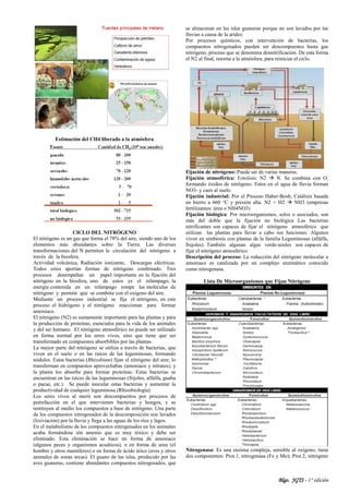 Blgo. JGTS - 1° edición
Estimación del CH4 liberado a la atmósfera
CICLO DEL NITRÓGENO
El nitrógeno es un gas que forma el 78% del aire, siendo uno de los
elementos más abundantes sobre la Tierra. Las diversas
transformaciones del N permiten la circulación del nitrógeno a
través de la biosfera.
Actividad volcánica, Radiación ionizante, Descargas eléctricas.
Todos estos aportan formas de nitrógeno combinado. Tres
procesos desempeñan un papel importante en la fijación del
nitrógeno en la biosfera, uno de estos es el relámpago, la
energía contenida en un relámpago rompe las moléculas de
nitrógeno y permite que se combine con el oxígeno del aire.
Mediante un proceso industrial se fija el nitrógeno, en este
proceso el hidrógeno y el nitrógeno reaccionan para formar
amoniaco.
El nitrógeno (N2) es sumamente importante para las plantas y para
la producción de proteínas, esenciales para la vida de los animales
y del ser humano. El nitrógeno atmosférico no puede ser utilizado
en forma normal por los seres vivos, sino que tiene que ser
transformado en compuestos absorbibles por las plantas.
La mayor parte del nitrógeno se utiliza a través de bacterias, que
viven en el suelo o en las raíces de las leguminosas, formando
nódulos. Estas bacterias (Rhizobium) fijan el nitrógeno del aire; lo
transforman en compuestos aprovechabas (amoniaco y nitratos), y
la planta los absorbe para formar proteínas. Estas bacterias se
encuentran en las raíces de las leguminosas (frijoles, alfalfa, guaba
o pacae, etc.). Se puede inocular estas bacterias y aumentar la
productividad de cualquier leguminosa (Rhizobiología).
Los seres vivos al morir son descompuestos por procesos de
putrefacción en el que intervienen bacterias y hongos, y se
restituyen al medio los compuestos a base de nitrógeno. Una parte
de los compuestos nitrogenados de la descomposición son lavados
(lixiviación) por la lluvia y llega a las aguas de los ríos y lagos.
En el metabolismo de los compuestos nitrogenados en los animales
acaba formándose ión amonio que es muy tóxico y debe ser
eliminado. Esta eliminación se hace en forma de amoniaco
(algunos peces y organismos acuáticos), o en forma de urea (el
hombre y otros mamíferos) o en forma de ácido úrico (aves y otros
animales de zonas secas). El guano de las islas, producido por las
aves guaneras, contiene abundantes compuestos nitrogenados, que
se almacenan en las islas guaneras porque no son lavados por las
lluvias a causa de la aridez.
Por procesos químicos, con intervención de bacterias, los
compuestos nitrogenados pueden ser descompuestos hasta gas
nitrógeno, proceso que se denomina desnitrificación. De esta forma
el N2 al final, retorna a la atmósfera, para reiniciar el ciclo.
Fijación de nitrógeno: Puede ser de varias maneras.
Fijación atmosférica: Fotolisis: N2  N. Se combina con O,
formando óxidos de nitrógeno. Estos en el agua de lluvia forman
NO3- y caen al suelo.
Fijación industrial: Por el Proceso Haber-Bosh, Catálisis basada
en hierro a 660 °C y presión alta. N2 + H2  NH3 (empresas
fertilizantes: úrea o NH4NO3)
Fijación biológica: Por microorganismos, solos o asociados, son
más del doble que la fijación no biológica Las bacterias
nitrificantes son capaces de fijar el nitrógeno atmosférico que
utilizan las plantas para llevar a cabo sus funciones. Algunos
viven en simbiosis con plantas de la familia Leguminosas (alfalfa,
frejoles). También algunas algas verde-azules son capaces de
fijar el nitrógeno atmosférico
Descripción del proceso: La reducción del nitrógeno molecular a
amoniaco es catalizada por un complejo enzimático conocido
como nitrogenasa.
Lista De Microorganismos que Fijan Nitrógeno
Nitrogenasa: Es una enzima compleja, sensible al oxígeno, tiene
dos componentes: Prot.1, nitrogenasa (Fe y Mo); Prot.2, nitrógeno
 