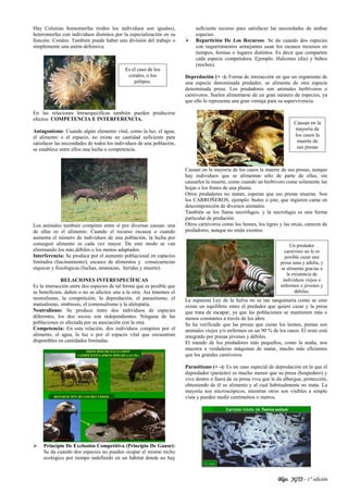 Blgo. JGTS - 1° edición
Hay Colonias homomorfas (todos los individuos son iguales),
heteromorfas con individuos distintos por la especialización en su
función: Corales. También puede haber una división del trabajo o
simplemente una unión defensiva.
En las relaciones Intraespecíficas también pueden producirse
efectos: COMPETENCIA E INTERFERENCIA.
Antagonismo: Cuando algún elemento vital, como la luz, el agua,
el alimento o el espacio, no existe en cantidad suficiente para
satisfacer las necesidades de todos los individuos de una población,
se establece entre ellos una lucha o competencia.
Los animales también compiten entre sí por diversas causas: una
de ellas es el alimento. Cuando el recurso escasea o cuando
aumenta el número de individuos de una población, la lucha por
conseguir alimento es cada vez mayor. De este modo se van
eliminando los más débiles o los menos adaptados.
Interferencia: Se produce por el aumento poblacional en espacios
limitados (hacinamiento), escasez de alimentos y consecuencias
síquicas y fisiológicas (luchas, amenazas, heridas y muerte).
RELACIONES INTERESPECÍFICAS
Es la interacción entre dos especies de tal forma que es posible que
se beneficien, dañen o no se afecten una a la otra. Así tenemos el
neutralismo, la competición, la depredación, el parasitismo, el
mutualismo, simbiosis, el comensalismo y la alelopatía.
Neutralismo: Se produce entre dos individuos de especies
diferentes, los dos socios son independientes. Ninguna de las
poblaciones es afectada por su asociación con la otra.
Competencia: En esta relación, dos individuos compiten por el
alimento, el agua, la luz o por el espacio vital que encuentran
disponibles en cantidades limitadas.
 Principio De Exclusión Competitiva (Principio De Gause):
Se da cuando dos especies no pueden ocupar el mismo nicho
ecológico por tiempo indefinido en un hábitat donde no hay
suficiente recurso para satisfacer las necesidades de ambas
especies.
 Repartición De Los Recursos: Se da cuando dos especies
con requerimientos semejantes usan los escasos recursos en
tiempos, formas o lugares distintos. Es decir que comparten
cada especie competidora. Ejemplo: Halcones (día) y búhos
(noches).
Depredación (+ -): Forma de interacción en que un organismo de
una especie denominada predador, se alimenta de otra especie
denominada presa. Los predadores son animales herbívoros o
carnívoros. Suelen alimentarse de un gran número de especies, ya
que ello le representa una gran ventaja para su supervivencia.
Causan en la mayoría de los casos la muerte de sus presas, aunque
hay individuos que se alimentan sólo de parte de ellas, sin
causarles la muerte, como cuando un herbívoro come solamente las
hojas o los frutos de una planta.
Otros predadores no matan, esperan que sus presas mueran. Son
los CARROÑEROS, ejemplo: buitre o jote, que ingieren carne en
descomposición de diversos animales.
También se los llama necrófagos, y la necrofagia es una forma
particular de predación.
Otros carnívoros como los leones, los tigres y las orcas, carecen de
predadores, aunque no están exentos.
La supuesta Ley de la Selva no es tan sanguinaria como se cree
existe un equilibrio entre el predador que quiere cazar y la presa
que trata de escapar, ya que las poblaciones se mantienen más o
menos constantes a través de los años.
Se ha verificado que las presas que cazan los leones, pumas son
animales viejos y/o enfermos en un 90 % de los casos. El resto está
integrado por presas jóvenes y débiles.
El mundo de los predadores más pequeños, como la araña, nos
muestra a verdaderas máquinas de matar, mucho más eficientes
que los grandes carnívoros.
Parasitismo (+ -): Es un caso especial de depredación en la que el
depredador (parásito) es mucho menor que su presa (hospedero) y
vive dentro o fuera de su presa viva que le da albergue, protección,
obteniendo de él su alimento y al cual habitualmente no mata. La
mayoría son microscópicos, mientras otros son visibles a simple
vista y pueden medir centímetros o metros.
Es el caso de los
corales, o los
pólipos.
Causan en la
mayoría de
los casos la
muerte de
sus presas
Un predador
carnívoro no le es
posible cazar una
presa sana y adulta, y
se alimenta gracias a
la existencia de
individuos viejos o
enfermos o jóvenes y
débiles.
 