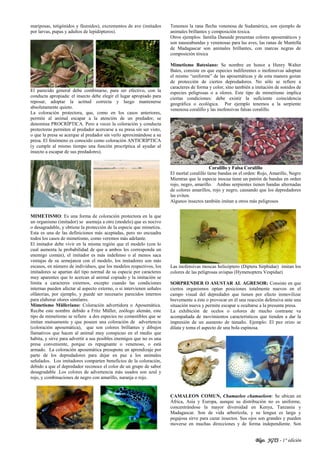 Blgo. JGTS - 1° edición
mariposas, tetigónidos y fásmidos), excrementos de ave (imitados
por larvas, pupas y adultos de lepidópteros).
El parecido general debe combinarse, para ser efectivo, con la
conducta apropiada: el insecto debe elegir el lugar apropiado para
reposar, adoptar la actitud correcta y luego mantenerse
absolutamente quieto.
La coloración protectora, que, como en los casos anteriores,
permite al animal escapar a la atención de un predador, se
denomina PROCRÍPTICA. Pero a veces la coloración y conducta
protectoras permiten al predador acercarse a su presa sin ser visto,
o que la presa se acerque al predador sin verlo aproximándose a su
presa. El fenómeno es conocido como coloración ANTICRÍPTICA
(y cumple al mismo tiempo una función procríptica al ayudar al
insecto a escapar de sus predadores).
MIMETISMO: Es una forma de coloración protectora en la que
un organismo (imitador) se asemeja a otro (modelo) que es nocivo
o desagradable, y obtiene la protección de la especie que mimetiza.
Esta es una de las definiciones más aceptadas, pero no encuadra
todos los casos de mimetismo, como veremos más adelante.
El imitador debe vivir en la misma región que el modelo (con lo
cual aumenta la probabilidad de que a ambos les corresponda un
enemigo común), el imitador es más indefenso o al menos saca
ventajas de su semejanza con el modelo, los imitadores son más
escasos, en número de individuos, que los modelos respectivos, los
imitadores se apartan del tipo normal de su especie por caracteres
muy aparentes que lo acercan al animal copiado y la imitación se
limita a caracteres externos, excepto cuando las condiciones
internas pueden afectar al aspecto externo, o si intervienen señales
olfatorias, por ejemplo, y puede ser necesario parecidos internos
para elaborar olores similares.
Mimetismo Mülleriano: Coloración advertidora o Aposemática.
Recibe este nombre debido a Fritz Müller, zoólogo alemán, este
tipo de mimetismo se refiere a dos especies no comestibles que se
imitan mutuamente y que poseen una coloración de advertencia
(coloración aposemática), que son colores brillantes y dibujos
llamativos que hacen al animal muy conspicuo en el medio que
habita, y sirve para advertir a sus posibles enemigos que no es una
presa conveniente, porque es repugnante o venenoso, o está
armado. La coloración aposemática presupone un aprendizaje por
parte de los depredadores para dejar en paz a los animales
señalados. Los imitadores comparten beneficios de la coloración,
debido a que el depredador reconoce el color de un grupo de sabor
desagradable .Los colores de advertencia más usados son azul y
rojo, y combinaciones de negro con amarillo, naranja o rojo.
Tenemos la rana flecha venenosa de Sudamérica, son ejemplo de
animales brillantes y composición toxica.
Otros ejemplos: familia Danaide presentan colores aposemáticos y
son nauseabundas y venenosas para las aves, las ranas de Mantella
de Madagascar son animales brillantes, con marcas negras de
composición tóxica
Mimetismo Batesiano: Se nombre en honor a Henry Walter
Bates, consiste en que especies indiferentes o inofensivas adoptan
el mismo “uniforme” de las aposemáticas y de esta manera gozan
de protección de ciertos depredadores. No sólo se refiere a
caracteres de forma y color, sino también a imitación de sonidos de
especies peligrosas o a olores. Este tipo de mimetismo implica
ciertas condiciones: debe existir la suficiente coincidencia
geográfica o ecológica. Por ejemplo tenemos a la serpiente
venenosa coralillo y las inofensivas falsas coralillo.
Coralillo y Falsa Coralillo
El mortal coralillo tiene bandas en el orden: Rojo, Amarillo, Negro
Mientras que la especie inocua tiene un patrón de bandas en orden
rojo, negro, amarillo. Ambas serpientes tienen bandas alternadas
de colores amarillos, rojo y negro, causando que los depredadores
las eviten.
Algunos insectos también imitan a otros más peligrosos
Las inofensivas moscas helicóptero (Diptera Sirphidae) imitan los
colores de las peligrosas avispas (Hymenoptera Vespidae)
SORPRENDER O ASUSTAR AL AGRESOR: Consiste en que
ciertos organismos optan posiciones totalmente nuevos en el
campo visual del depredador que tienen por efecto inmovilizar
brevemente a éste o provocar en él una reacción defensiva ante una
situación nueva y permite escapar u ocultarse a la presunta presa.
La exhibición de ocelos o colores de mucho contraste va
acompañada de movimientos característicos que tienden a dar la
impresión de un aumento de tamaño. Ejemplo: El pez erizo se
dilata y toma el aspecto de una bola espinosa.
CAMALEON COMUN, Chamaeleo chamaeleon: Se ubican en
África, Asia y Europa, aunque su distribución no es uniforme,
concentrándose la mayor diversidad en Kenya, Tanzania y
Madagascar. Son de vida arborícola, y su lengua es larga y
pegajosa sirve para cazar insectos. Sus ojos son grandes y pueden
moverse en muchas direcciones y de forma independiente. Son
 