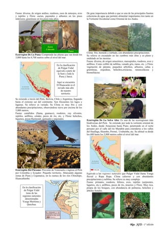 Blgo. JGTS - 1° edición
Fauna: diversa, de origen andino, roedores, osos de anteojos, aves
y reptiles y Flora: cactus, pajonales y arbustos en los pisos
inferiores; gramíneas en los pisos más altos.
Ecorregion De La Puna: Comprende las alturas que van desde los
3,800 hasta los 6,768 metros sobre el nivel del mar.
Se extiende a través del Perú, Bolivia, Chile y Argentina, llegando
hasta el extremo sur del continente. Son frecuentes los lagos y
lagunas. Su relieve es variado. Su Clima es muy frío y con
abundantes precipitaciones, observándose nieve por encima de los
5,000 metros.
Fauna: camélidos (llama, guanaco), roedores, cuy silvestre,
reptiles, anfibios, cóndor, peces de río, etc. y Flora: helechos,
líquenes, puyas Raimondi, quinuales y pajonales.
Ecorregión Del Páramo: Proviene de Venezuela e ingresa al Perú
por Colombia y Ecuador. Pequeño territorio, Abarcando algunas
zonas de Piura y Cajamarca, en la cuenca de los ríos Chinchipe,
Huancabamba
De gran importancia debido a que es una de las principales fuentes
colectoras de agua que permite alimentar importantes ríos tanto en
la Vertiente Occidental como Oriental de los Andes.
Clima: frío, húmedo y nublado, con abundantes precipitaciones.
Su relieve es escarpado en las cumbres más altas y es plano y
ondulado en las mesetas.
Fauna: diversa, de origen amazónico, marsupiales, roedores, aves y
anfibios. Como colibrí de neblina, venado gris, ranas, etc. y Flora:
vegetación de páramo, pequeños arbolitos, arbustos, cañas y
gramíneas, orquideas, helechos,ericáceas, ranunculáceas y
bromeliáceas.
Ecorregión De La Selva Alta: Es una de las ecorregiones más
biodiversas del Perú. Se extiende por toda la vertiente oriental de
los Andes, desde Amazonas hasta Puno, penetrando en el norte
peruano por el valle del río Marañón para extenderse a los valles
del Huallaga, Huambo, Perené, Urubamba, etc. Su altitud va desde
los 600 hasta los 3,800 metros sobre el nivel del mar.
Equivale a las regiones naturales que Pulgar Vidal llama Yunga
fluvial y Rupa Rupa. Clima caluroso y con abundantes
precipitaciones y neblina. Su relieve es muy complejo
Fauna: primates, roedores, felinos, aves, reptiles (serpientes,
lagartos, etc.), anfibios, peces de río, insectos y Flora: Muy rica,
propia de los bosques, con abundancia de palmeras, helechos y
árboles frutales.
En la clasificación
de Pulgar Vidal
equivale a parte de
la Suni y toda la
Puna y Janca.
Aquí se encuentra
El Huascarán es el
nevado más alto
de nuestro
territorio.
En la clasificación
de Pulgar Vidal
tiene de las
regiones naturales
denominadas
Yunga Marítima y
Quechua.
 