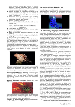 Blgo. JGTS - 1° edición
permita desarrollar opciones para mejorar los sistemas
productivos, encontrar adaptaciones frente a eventuales
cambios climáticos perniciosos y servir de sustento para
investigaciones científicas, tecnológicas e industriales.
 Mantener y manejar las condiciones funcionales de las
cuencas hidrográficas de modo que se aseguren la
captación, flujo y calidad del agua, y se controle la
erosión y sedimentación.
 Proporcionar medios y oportunidades para actividades
educativas, turismo, investigación científica, y para el
monitoreo del estado del medio ambiente.
 Restaurar ecosistemas deteriorados.
 Conservar la identidad natural y cultural asociada existente
en dichas áreas.
ZONAS PROTEGIDAS DEL DEPARTAMENTO DE
CAJAMARCA
 Parque Nacional de Cutervo (8 214 ha).
 Santuario Nacional Tabaconas-Namballe en provincia de San
Ignacio 30 000 hectáreas.
 Bosque de Protección de Pagaibamba en la provincia de Chota
(2 078 ha).
 Coto de Caza de Sunchubamba en la provincia de Cajabamba.
(59 765 ha).
 Zona Reservada de Chancay Baños en Chota
Parque Nacional De Cutervo: Este Parque Nacional está ubicado
en el departamento de Cajamarca, provincia de Cutervo, distrito de
San Andrés de Cutervo; tiene una superficie de 2 500 hectáreas.
Creada por ley 13694 en el año de 1961
Flora: Variedad de Orquídeas en el Parque Nacional de Cutervo.
Masdevallia setacea, una de las orquídeas más abundantes en el
Perú. Epidendrum secundum, conocida en quechua como Wiñay
Wayna (siempre jóven), Zapatito de Reina, Agmypedium
caudatum
El guácharo o tayo (Steatornis caripensis) es un ave noscturna que
se alimenta exclusivamente de frutas. Forma grandes colonias de
nidificación en el interior de profundas cavernas y emplea la
ecolocalización para orientarse en la oscuridad de sus dominios.
Santuario Nacional Tabaconas Namballe: Creada por decreto
supremo 051-88-a6 en 1988. Cuenta con lagunas medicinales y
petroglifos FAUNA: El oso andino (Tremarctos ornatus),
actualmente en peligro de extinción, es una de las especies que
habita en el Chaupe
Bosque De Protección De Pagaybamba: creada en 1987, Área 2
078 hectáreas.
Las bromelias adornan los acantilados rocosos de Pagaibamba. Sus
hojas tiernas sirven de alimento a oso andino, mientras su siempre
húmedo inerior es un microclima vital para la supervivencia de
diversas variedades de insectos reptiles y amfibios.
Cotos De Caza De Sunchubamba en la provincia de Cajabamba,
creado en 1977 con un área de 59 735 hectáreas.
Zona reservada de CHANCAY BAÑOS (Chota)
El chocho (Lupinus mutabilis) es una de las flores más comunes de
la serranía esteparia cajamarquina. Sus semillas son consumidas
por el hombre y sus raíces fijan el nitrógeno del suelo
enriqueciéndolo.
El Perú Un País De Extraordinaria Variedad De Recursos
Vivos y Ecosistemas.
Nuestro país se encuentra entre los países megadiversos del
planeta, entre los cuales ocupa uno de los cinco primeros lugares.
La diversidad de recursos genéticos es un logro de los grupos
humanos aborígenes, que durante un proceso de al menos 10 000
años han domesticado especies de la fauna y plantas nativas que
han seleccionado y adaptado a los pisos ecológicos.
El Perú es uno de los mayores centros mundiales de recursos
genéticos, con unas 182 especies de plantas y 5 de animales
domesticados, y es reconocido como uno de los centros de origen
de la agricultura y de la ganadería.
El Perú es un país de gran importancia global por haber dado al
mundo cultivares y crianzas de sumo valor, en especial la papa y el
maíz, que son dos de los cuatro cultivos alimenticios más
importantes del mundo.
Los recursos genéticos presentes en el país son de importancia
estratégica para el mundo moderno y el Perú en este aspecto juega
y puede jugar un rol decisivo.
De la flora se calculan que existen unas 25 000 especies (10% del
total mundial), de las cuales un 30% son endémicas. Es el 5º país
en el mundo en número de especies; y uno de los primeros en
número de especies de plantas de propiedades conocidas y
utilizadas por la población (4 400 especies).
La familia más numerosa de plantas es la de las orquídeas, de las
que están presentes en el país más de 3 000 especies. En lo
referente a la fauna posee 462 especies de mamíferos, 1 815 de
aves, 395 de reptiles, 408 de anfibios, 2 000 de peces y 4 000 de
mariposas.
Es el primer país en variedades de papa (9 especies domesticadas y
unas 3 000 variedades), de ajíes (5 especies domesticadas y
decenas de variedades), de maíz (36 ecotipos), de granos,
tubérculos y raíces andinos.
Es el mayor centro de diversidad genética del algodón de América
del Sur o algodón peruano (gossypium barbadense), que es un
insumo de material genético imprescindible para el mejoramiento
de los algodones cultivados, como el pima y el tangüis. Tiene un
muy alto sitial en frutas (623 especies), cucurbitáceas, plantas
medicinales (1 408 especies) y ornamentales (1 600 especies), y
plantas alimenticias (unas 1 200 especies).
Posee 5 formas de animales domésticos: la alpaca, forma
doméstica de la vicuña (lama vicugna) y cruzada con llama; la
llama, forma doméstica del guanaco; el cuy; el pato criollo, forma
doméstica del pato amazónico; y la cochinilla.
En el Perú se ha producido un largo proceso de domesticación de
plantas y animales, y nuestro país es uno de los centros mundiales
de origen de la agricultura y de la ganadería.
En el Perú existen unas 182 especies de plantas domesticadas
nativas, de las que 174 son de origen andino, amazónico y costeño,
y 7 de origen americano, introducidas hace siglos. Las de origen
amazónico son 85 especies, que representan el 46,96% del total.
Las de origen andino son 81 especies, y suman el 44,75%. Las de
origen costeño son 8 especies, el 4,43% del total.
(Antonio Brack Egg; Ex Ministro del Ambiente del Perú)
 