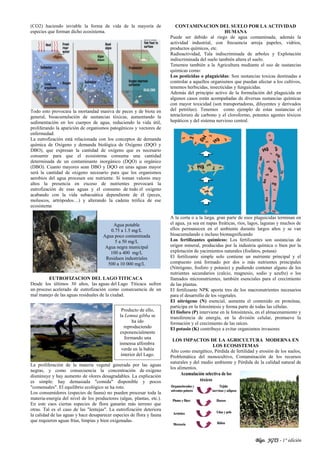 Blgo. JGTS - 1° edición
(CO2) haciendo inviable la forma de vida de la mayoría de
especies que forman dicho ecosistema.
Todo esto provocara la mortandad masiva de peces y de biota en
general, bioacumulación de sustancias tóxicas, aumentando la
sedimentación en los cuerpos de agua, reduciendo la vida útil,
proliferando la aparición de organismos patogénicos y vectores de
enfermedad.
La eutrofización está relacionada con los conceptos de demanda
química de Oxígeno y demanda biológica de Oxígeno (DQO y
DBO), que expresan la cantidad de oxígeno que es necesario
consumir para que el ecosistema consuma una cantidad
determinada de un contaminante inorgánico (DQO) u orgánico
(DBO). Cuanto mayores sean DBO y DQO en unas aguas mayor
será la cantidad de oxigeno necesario para que los organismos
aerobios del agua procesen ese nutriente. Si toman valores muy
altos la presencia en exceso de nutrientes provocará la
eutrofización de esas aguas y el consumo de todo el oxígeno
acabando con la vida subacuática dependiente de él (peces,
moluscos, artrópodos…) y alterando la cadena trófica de ese
ecosistema
EUTROFIZACION DEL LAGO TITICACA
Desde los últimos 30 años, las aguas del Lago Titicaca sufren
un proceso acelerado de eutrofización como consecuencia de un
mal manejo de las aguas residuales de la ciudad.
La proliferación de la materia vegetal generada por las aguas
negras, y como consecuencia la concentración de oxigeno
disminuye y hay aumento de olores desagradables. La explicación
es simple: hay demasiada "comida" disponible y pocos
"comensales". El equilibrio ecológico se ha roto.
Los consumidores (especies de fauna) no pueden procesar toda la
materia-energía del nivel de los productores (algas, plantas, etc.).
En este caos ciertas especies de flora ganarán más terreno que
otras. Tal es el caso de las "lentejas". La eutrofización deteriora
la calidad de las aguas y hace desaparecer especies de flora y fauna
que requieren aguas frías, limpias y bien oxigenadas.
CONTAMINACION DEL SUELO POR LA ACTIVIDAD
HUMANA
Puede ser debido al riego de agua contaminada; además la
actividad industrial, con frecuencia arroja papeles, vidrios,
productos químicos, etc.
Radioactividad, Tala indiscriminada de arboles y Explotación
indiscriminada del suelo también altera el suelo.
Tenemos también a la Agricultura mediante el uso de sustancias
químicas como:
Los pesticidas o plaguicidas: Son sustancias toxicas destinadas a
controlar a aquellos organismos que puedan afectar a los cultivos,
tenemos herbicidas, insecticidas y funguicidas.
Además del principio activo de la formulación del plaguicida en
algunos casos están acompañadas de diversas sustancias químicas
con mayor toxicidad (son transportadoras, diluyentes y derivados
del petróleo). Tenemos como ejemplo de estas sustancias el
tetracloruro de carbono y el cloroformo, potentes agentes tóxicos
hepáticos y del sistema nervioso central.
A la corta o a la larga, gran parte de esos plaguicidas terminan en
el agua, ya sea en napas freáticas, ríos, lagos, lagunas y muchos de
ellos permanecen en el ambiente durante largos años y se van
bioacumulando e incluso biomagnificando
Los fertilizantes químicos: Los fertilizantes son sustancias de
origen mineral, producidas por la industria química o bien por la
explotación de yacimientos naturales (fosfatos, potasa)
El fertilizante simple solo contiene un nutriente principal y el
compuesto está formado por dos o más nutrientes principales
(Nitrógeno, fosforo y potasio) y pudiendo contener alguno de los
nutrientes secundarios (calcio, magnesio, sodio y azufre) o los
llamados micronutrientes, también esenciales para el crecimiento
de las plantas.
El fertilizante NPK aporta tres de los macronutrientes necesarios
para el desarrollo de los vegetales.
El nitrógeno (N) esencial, aumenta el contenido en proteínas,
participa en la fotosíntesis y forma parte de todas las células.
El fósforo (P) interviene en la fotosíntesis, en el almacenamiento y
transferencia de energía, en la división celular, promueve la
formación y el crecimiento de las raíces.
El potasio (K) contribuye a evitar organismos invasores
LOS IMPACTOS DE LA AGRICULTURA MODERNA EN
LOS ECOSISTEMAS
Alto costo energético, Pérdida de fertilidad y erosión de los suelos,
Problemática del monocultivo, Contaminación de los recursos
naturales y del medio ambiente y Pérdida de la calidad natural de
los alimentos.
Agua potable
0.75 a 1.5 mg/L
Agua poco contaminada
5 a 50 mg/L
Agua negra municipal
100 a 400 mg/L
Residuos industriales
500 a 10 000 mg/L
Producto de ello,
la Lemna gibba se
ha ido
reproduciendo
exponencialmente
formando una
inmensa alfombra
verde en la bahía
interior del Lago.
 