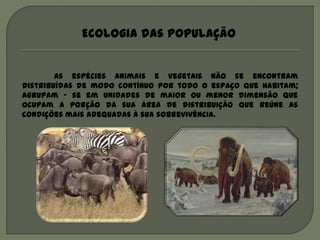 Ecologia das população


        As espécies animais e vegetais não se encontram
distribuídas de modo contínuo por todo o espaço que habitam;
agrupam – se em unidades de maior ou menor dimensão que
ocupam a porção da sua área de distribuição que reúne as
condições mais adequadas à sua sobrevivência.
 