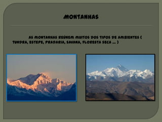 Montanhas


       As montanhas reúnem muitos dos tipos de ambientes (
tundra, estepe, pradaria, savana, floresta seca … )
 