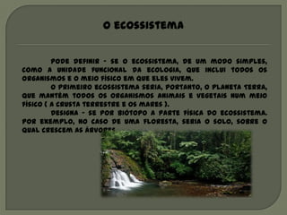 O ecossistema


         Pode definir – se o ecossistema, de um modo simples,
como a unidade funcional da ecologia, que inclui todos os
organismos e o meio físico em que eles vivem.
         O primeiro ecossistema seria, portanto, o planeta Terra,
que mantém todos os organismos animais e vegetais num meio
físico ( a crusta terrestre e os mares ).
         Designa – se por biótopo a parte física do ecossistema.
Por exemplo, no caso de uma floresta, seria o solo, sobre o
qual crescem as árvores.
 