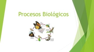 Procesos Biológicos
 