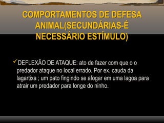 COMPORTAMENTOS DE DEFESA
ANIMAL(SECUNDÁRIAS-É
NECESSÁRIO ESTÍMULO)
DEFLEXÃO DE ATAQUE: ato de fazer com que o o
predador ataque no local errado. Por ex. cauda da
lagartixa ; um pato fingindo se afogar em uma lagoa para
atrair um predador para longe do ninho.
 