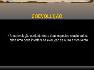 COEVOLUÇÃO
Uma evolução conjunta entre duas espécies relacionadas,
onde uma pode interferir na evolução da outra e vice-versa.
 