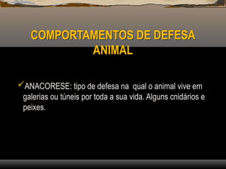 COMPORTAMENTOS DE DEFESA
ANIMAL
ANACORESE: tipo de defesa na qual o animal vive em
galerias ou túneis por toda a sua vida. Alguns cnidários e
peixes.
 
