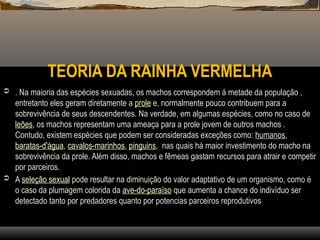 TEORIA DA RAINHA VERMELHA
 . Na maioria das espécies sexuadas, os machos correspondem á metade da população ,
entretanto eles geram diretamente a prole e, normalmente pouco contribuem para a
sobrevivência de seus descendentes. Na verdade, em algumas espécies, como no caso de
leões, os machos representam uma ameaça para a prole jovem de outros machos .
Contudo, existem espécies que podem ser consideradas exceções como: humanos,
baratas-d'água, cavalos-marinhos, pinguins, nas quais há maior investimento do macho na
sobrevivência da prole. Além disso, machos e fêmeas gastam recursos para atrair e competir
por parceiros.
 A seleção sexual pode resultar na diminuição do valor adaptativo de um organismo, como é
o caso da plumagem colorida da ave-do-paraíso que aumenta a chance do indivíduo ser
detectado tanto por predadores quanto por potencias parceiros reprodutivos
 