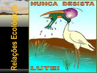 Relações
Ecológicas
 