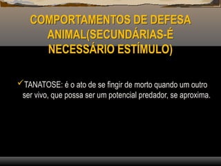 COMPORTAMENTOS DE DEFESA
ANIMAL(SECUNDÁRIAS-É
NECESSÁRIO ESTÍMULO)
TANATOSE: é o ato de se fingir de morto quando um outro
ser vivo, que possa ser um potencial predador, se aproxima.
 