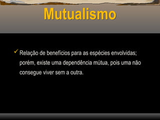 Mutualismo
Relação de benefícios para as espécies envolvidas;
porém, existe uma dependência mútua, pois uma não
consegue viver sem a outra.
 