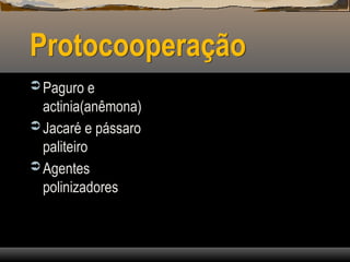 Protocooperação
 Paguro e
actinia(anêmona)
 Jacaré e pássaro
paliteiro
 Agentes
polinizadores
 