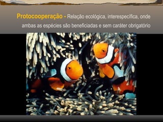 Protocooperação - Relação ecológica, interespecífica, onde
ambas as espécies são beneficiadas e sem caráter obrigatório
 