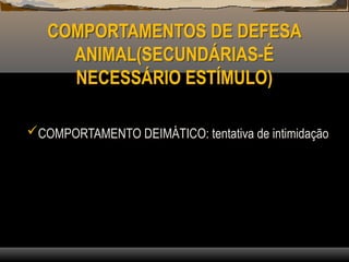 COMPORTAMENTOS DE DEFESA
ANIMAL(SECUNDÁRIAS-É
NECESSÁRIO ESTÍMULO)
COMPORTAMENTO DEIMÁTICO: tentativa de intimidação
 