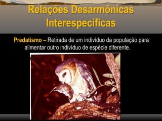 Relações Desarmônicas
Interespecíficas
Predatismo – Retirada de um indivíduo da população para
alimentar outro indivíduo de espécie diferente.
 