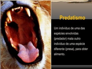Predatismo
Um indivíduo de uma das
espécies envolvidas
(predador) mata outro
indivíduo de uma espécie
diferente (presa), para obter
alimento.
 