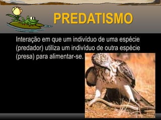 PREDATISMO
Interação em que um indivíduo de uma espécie
(predador) utiliza um indivíduo de outra espécie
(presa) para alimentar-se.
 