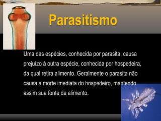 Parasitismo
Uma das espécies, conhecida por parasita, causa
prejuízo à outra espécie, conhecida por hospedeira,
da qual retira alimento. Geralmente o parasita não
causa a morte imediata do hospedeiro, mantendo
assim sua fonte de alimento.
 