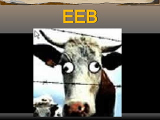 EEB
 