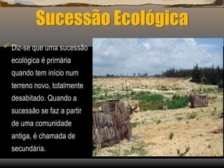 Sucessão Ecológica
 Diz-se que uma sucessão
ecológica é primária
quando tem início num
terreno novo, totalmente
desabitado. Quando a
sucessão se faz a partir
de uma comunidade
antiga, é chamada de
secundária.
 