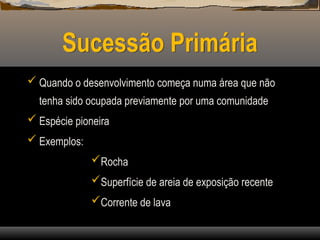 Sucessão Primária
 Quando o desenvolvimento começa numa área que não
tenha sido ocupada previamente por uma comunidade
 Espécie pioneira
 Exemplos:
Rocha
Superfície de areia de exposição recente
Corrente de lava
 