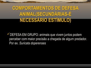COMPORTAMENTOS DE DEFESA
ANIMAL(SECUNDÁRIAS-É
NECESSÁRIO ESTÍMULO)
DEFESA EM GRUPO: animais que vivem juntos podem
perceber com maior precisão a chegada de algum predador.
Por ex. Suricata doperenses
 
