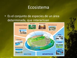 Ecosistema
• Es el conjunto de especies de un área
determinada, que interactúan

 