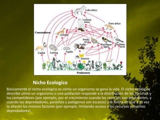 Nicho Ecologico
Básicamente el nicho ecológico es cómo un organismo se gana la vida. El nicho ecológico
describe cómo un organismo o una población responde a la distribución de los recursos y
los competidores (por ejemplo, por el crecimiento cuando los recursos son abundantes, y
cuando los depredadores, parásitos y patógenos son escasos) y la forma en que a su vez
lo alteran los mismos factores (por ejemplo, limitando acceso a los recursos y muchos
depredadores).

 